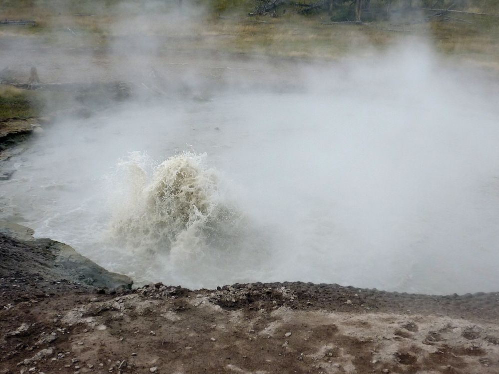 Yellowstone Mud Volcano Area (9).JPG